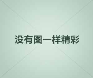 高性價比的PD140N引發了進口手持金屬探測器市場的變革
